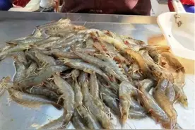 买虾时，遇到这2种虾掉头就走，老渔民教你5个小妙招，一挑一个准图片