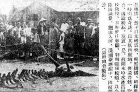 震撼人心！湖南突现逼真龙石！龙的小故事一二图片
