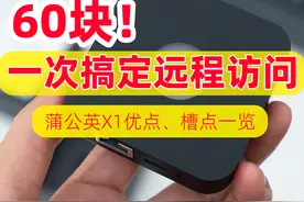 60块！一劳永逸搞定远程访问，蒲公英X1组网盒子的优点、槽点一览图片