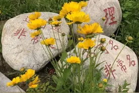 俗语说得好！“眉过眼端金碗，纹锁口无福禄”，这究竟是啥意思？图片