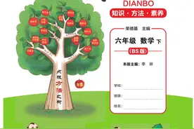 点拨全解小学数学北师大六年级下册图片
