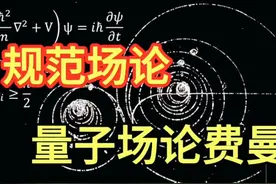 规范场论和量子场论：费曼图图片