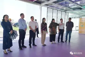 南宁市委常委、统战部部长严丽萍到横州市调研基层统一战线工作图片