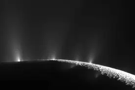 中国科学家：土星附近可能会有生命，但真相被部分掩盖了图片