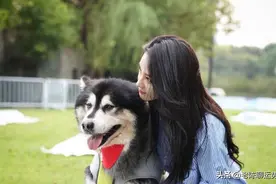 在五月过半的时候，会命犯桃花，能享受甜蜜爱情的四大生肖图片