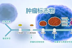 肿瘤标志物升高会得癌？别再被吓到了（附筛查建议与指标解读）图片