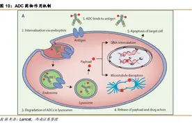 ADC“神药”背后的日本巨头图片