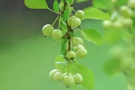 散文：人到了一定年龄，一定要懂得让生命与时光和谐搭配图片