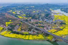四川省内江市2023年重点项目（续建132个）图片