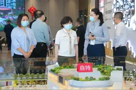 杜娟调研重点项目建设情况图片
