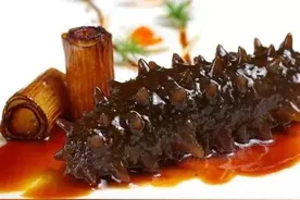 麻腐海参——陕西官府菜图片