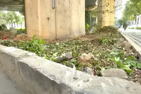暖心！七八个人合力抬车！图片