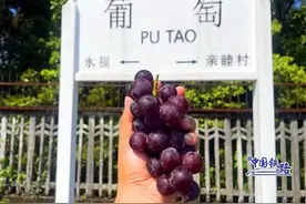 幽兰、凤鸣、葡萄、海棠……这些充满诗情画意的名字，原来是火车站名图片