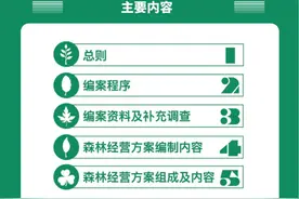 一图读懂 | 森林经营方案编制技术导则 北京市地方标准解读图片