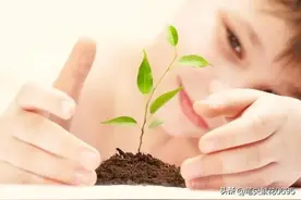 浅谈幼儿教育图片