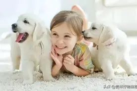 人与狗狗可以同睡吗？狗跟人睡在一个房间人会不会得病？图片