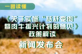 一图读懂 | 《关于实施“秸秆变肉”暨肉牛振兴计划的意见》政策解读新闻发布会图片