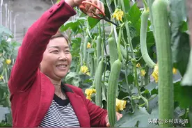 丝瓜、南瓜、西瓜、冬瓜坐不住瓜？学会四个窍门，产量翻倍图片