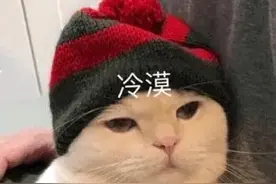 表情包｜拜拜了您嘞图片