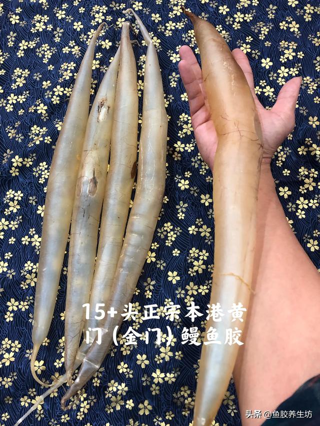 鳗鱼胶野生和养殖的区别 2026年鳗鱼胶野生和养殖的区别在哪