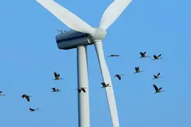 风电的危害有多大？欧美眼中的“垃圾电”，中国为何加大建设力度图片