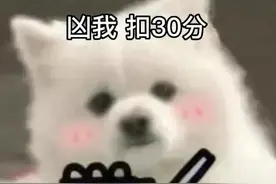 有趣的自动回复语录，进来看看吧图片