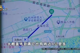 一万七买乐高课，一个消息很突然图片