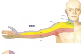 颈椎病变节段不同，疼痛、麻木的部位也不同！对照看看你是不是？图片