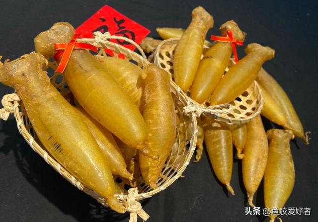 鳖鱼胶和鳕鱼胶的功效与作用 2026年鳖鱼胶和鳕鱼胶的功效与作用一样吗