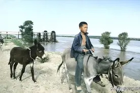 一组张老照片：60后70后80后的记忆，回不去的童年，张张戳中泪点图片