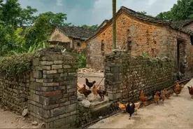 【散文】一次难忘的回乡经历，每一刻都留在了记忆里图片