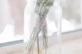 2022感叹自己有白发的句子图片