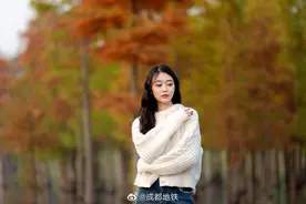 宝藏！藏在成都市区里的水杉林，乘坐地铁7号线即可前往图片
