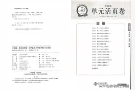 王朝霞单元活页卷二年级下册语文人教版（共36页）图片