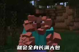 盘点我的世界MC离谱操作，还得中国steam玩家会整活！图片