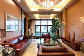 “客厅见树，家业稳固”！客厅6种“盆栽树”，美观高雅又吉利图片