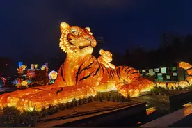 大年初一，王城公园迎春灯会如约而至，这些人可免费赏灯图片