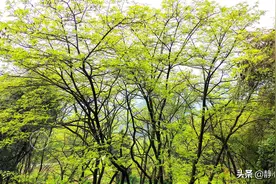 让自己强大起来，只有自己强大，敢动你的人才会少图片