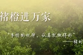 人生有起有落，精神终可传承图片