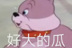 一句话证明你是反诈民警图片