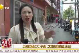 东北老妹儿带你吃｜清爽解暑大冷面 想吃就做很容易图片