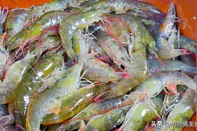 保存大虾时，万不可直接放冰箱！教您一招，放多久吃着都像刚买的图片