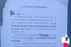 保定一车主欠停车费1000万元？停车服务公司：不可能，会核实图片