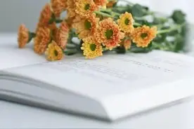人生路上，不负时光，不负自己，本心安静自然，才会有余生的安好图片