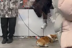 高知人设碎一地：特斯拉车主打砸抢经销商门店，已涉嫌违法图片