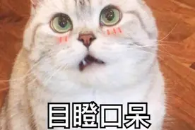 2022考研成绩公布，已经有人在“晒分”了，400+高分很多？图片