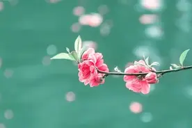 8句诗词写尽愁，人生最愁也不过如此！图片