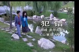 【怀旧经典】斯琴高丽、顾峰《犯错》经典神曲！这MV也太离谱了！图片