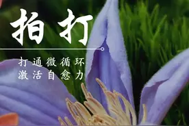净心拍打｜拍打过程中的排解反应图片