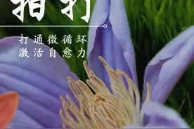净心拍打｜拍打过程中的排解反应图片